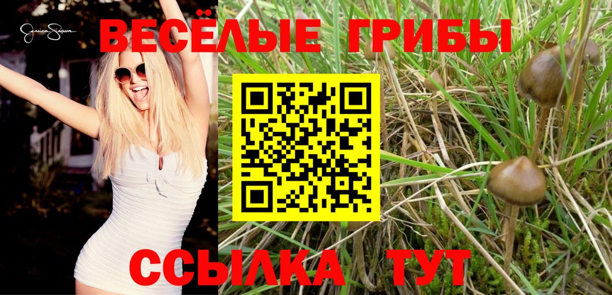 Псилоцибиновые грибы Cubensis  Вход с VPN  Галлюциногенные грибы мухоморы  Усинск 